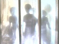 3 Extraterrestres Gris Lumière Duane Barry