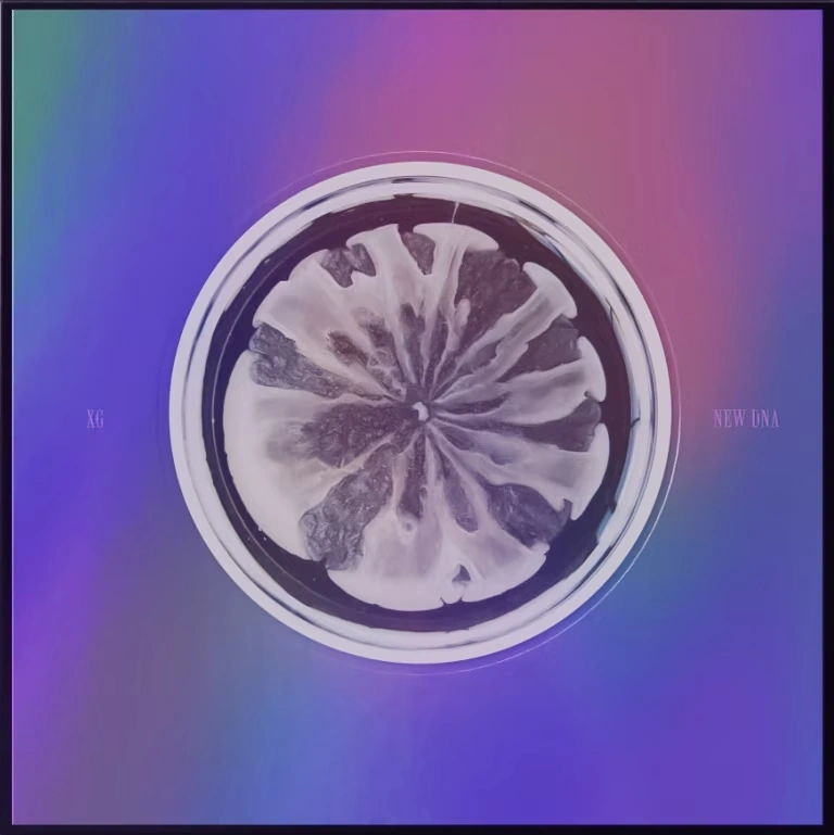 Aぇgroup D.N.A. CD cac-shi-exo-m02-b_anti-cd63-