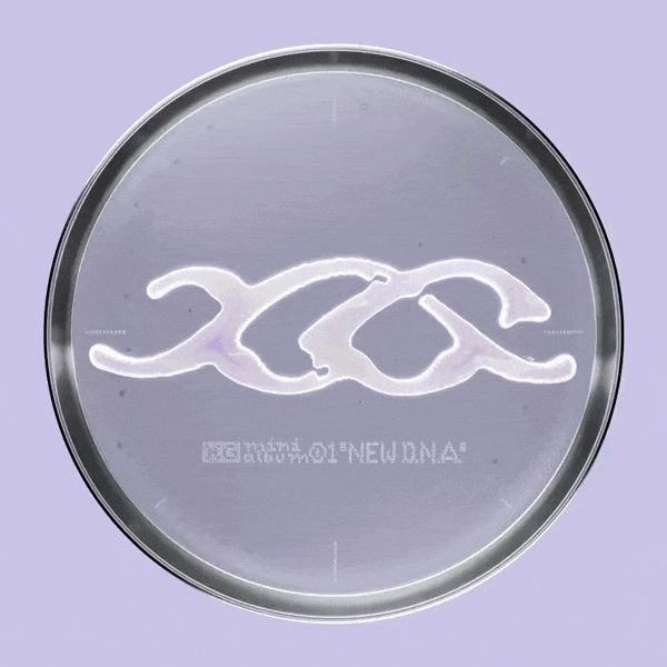 Aぇgroup D.N.A. CD D.N.A [初回限定盤A][CD][+Blu-ray] - Aぇ! group - UNIVERSAL