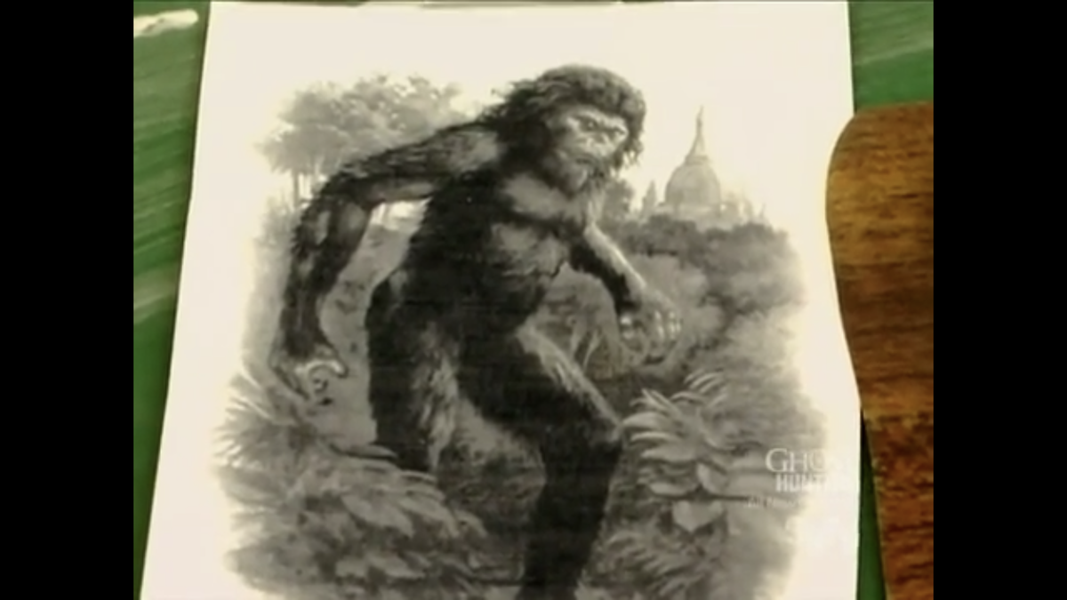 Wildman | Animated Character Database | Fandom