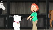 Family Guy 14 (120)