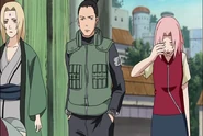 N15400985.png (396 KB)