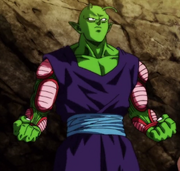 Piccolosurvival.png