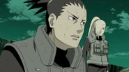 N37905329.png (334 KB)