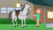 Family Guy 14 (60)