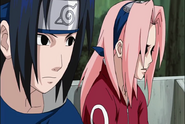 Naruto Shippudden 181 (259)