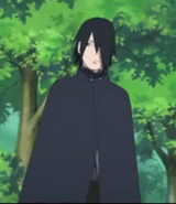 SASUKE