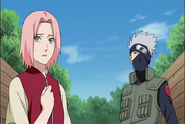 Naruto Shippudden 181 (339)