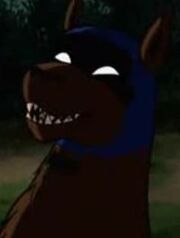 Ace the Bathound.jpg