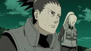 N37905353.png (342 KB)