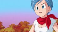 Dragonball Super Tournament (222)