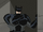 Bruce Wayne(Batman) (The Savage Time)