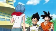 Dragonball Super Tournament (339)