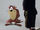 Tasmanian Devil