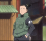Shikam.png