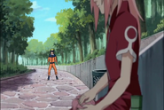 Naruto Shippudden 181 (30671402)