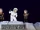 Far Side of the Moon