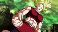 Dragon Ball Super Episode 114 0144