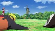 Fidelbd-naruto-shippuden---451-0353 29998878927 o