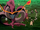 Dragon Eel Spirit