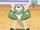 Chesnaught