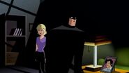 Batman Mystery of the Batwoman Movie (933)