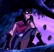 34robin.png