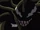 Gamma Venom (Symbiote) (Earth-12041)