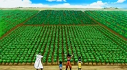 Super-49-98 26810063177 o.png (773 KB)