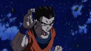 Dragon ball 90 0310