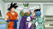 Dragonball Super Tournament (75)