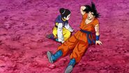 Dragonball Super Tournament (32)