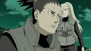 N37905377.png (362 KB)