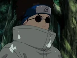 Shino Aburame(Tsunades Infinite Tsukuyomi)