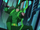 Oliver Queen(Green Arrow) (Batman Unlimited: Animal Instincts)
