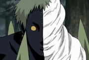 300px-BZetsu.png