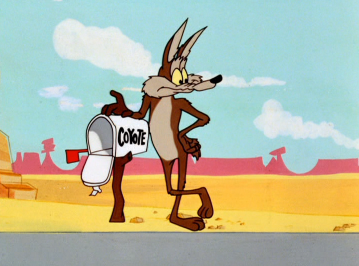 Wile E. Coyote | Animated Character Database | Fandom