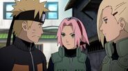 Naruto-shippden-episode-dub-443-0487 41623454335 o