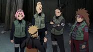 Naruto-shippden-episode-dub-443-0520 28652344668 o