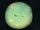 Friendship Virus