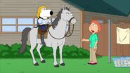 Family Guy 14 (62)