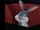 Clyde Bunny