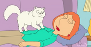 FamilyGuy top (143)