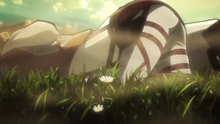855A8242-435F-493D-AF88-BBA0B84149BD.png