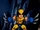 Logan (Wolverine) (Earth-91119)