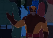 11wolverine.png