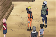 Naruto Shippudden 181 (295)