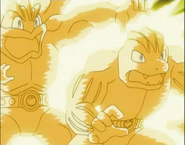 Machamp and Machoke (What a shock)