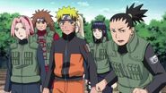 Fidelbd-naruto-shippuden---449-0404 31062206978 o