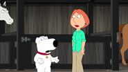 Family Guy 14 (97)